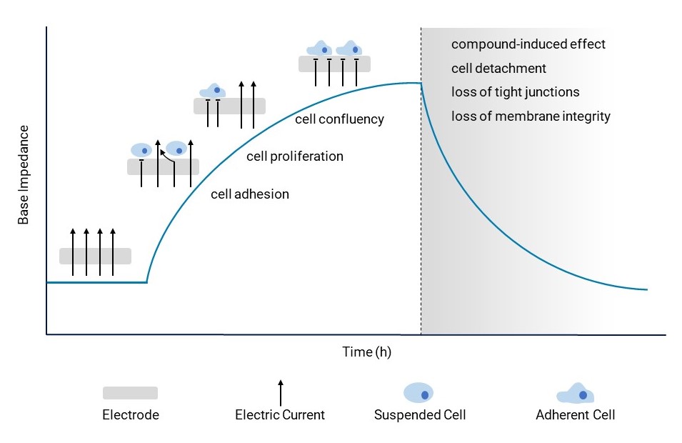 Impedance Methodology