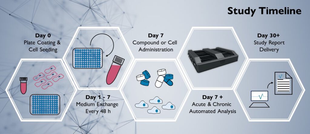 Live-Cell Analysis Timeline
