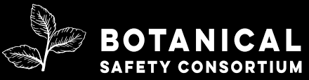 BSC Logo