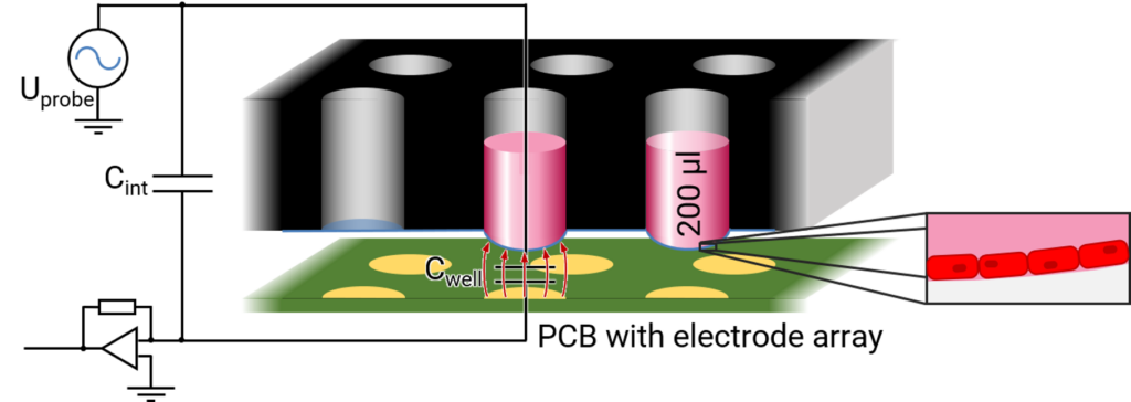 Label-Free Capacitive Distance Sensing